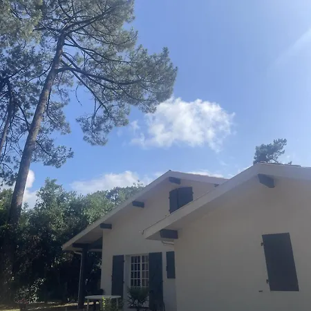 Grande Maison De Avec Jardin Holiday home *